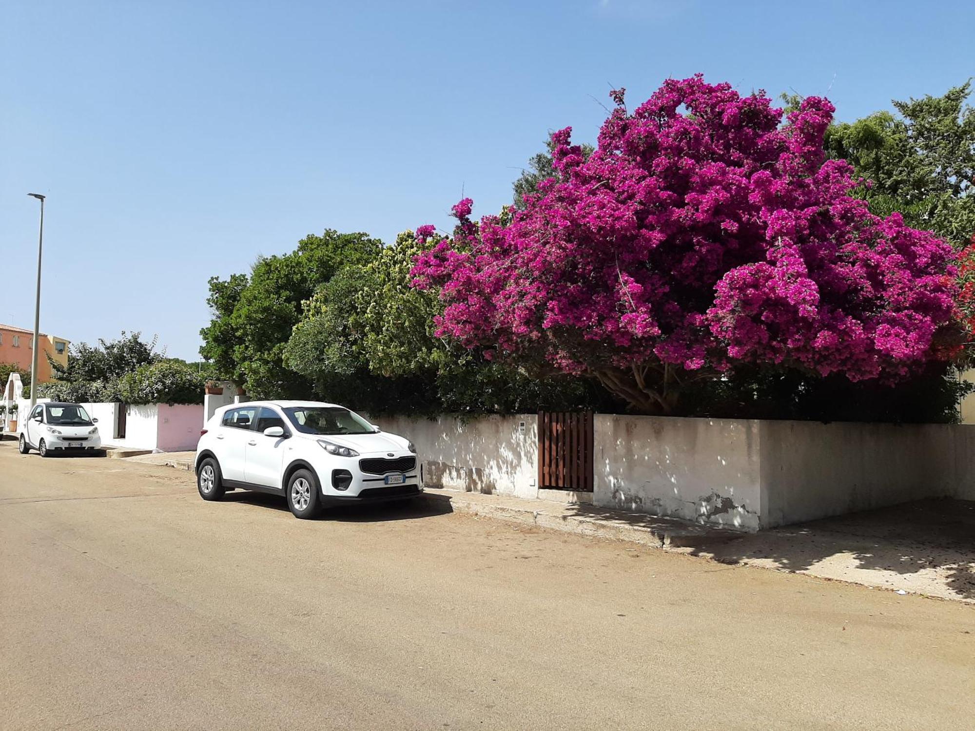 Casa Di Paolo E Roberta Santa Teresa Gallura Exterior foto